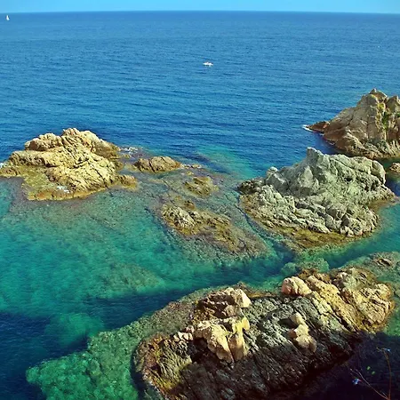 Apartment Nomad Haux In The Heart Of Tossa 5